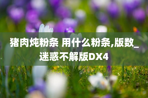 猪肉炖粉条 用什么粉条,版数_迷惑不解版DX4