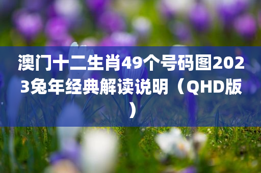 澳门十二生肖49个号码图2023兔年经典解读说明（QHD版）