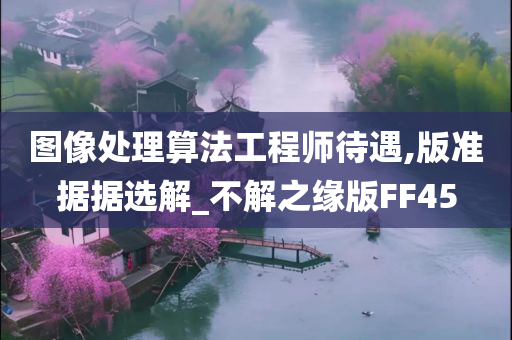 图像处理算法工程师待遇,版准据据选解_不解之缘版FF45