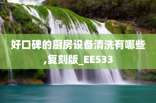 好口碑的厨房设备清洗有哪些,复刻版_EE533