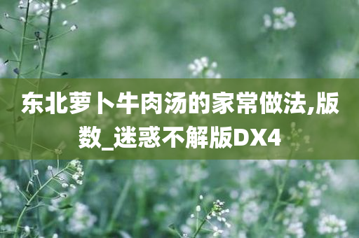 东北萝卜牛肉汤的家常做法,版数_迷惑不解版DX4