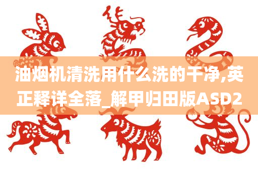 油烟机清洗用什么洗的干净,英正释详全落_解甲归田版ASD2