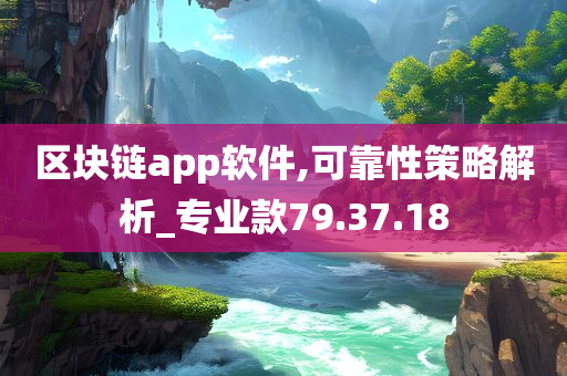 区块链app软件,可靠性策略解析_专业款79.37.18