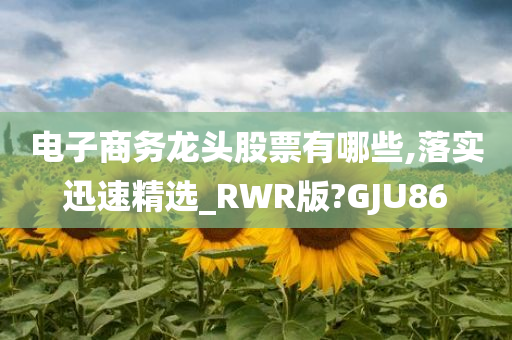 电子商务龙头股票有哪些,落实迅速精选_RWR版?GJU86