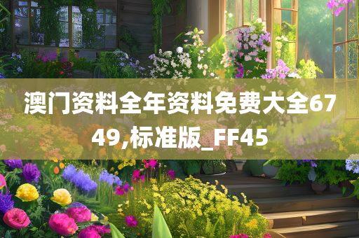 澳门资料全年资料免费大全6749,标准版_FF45