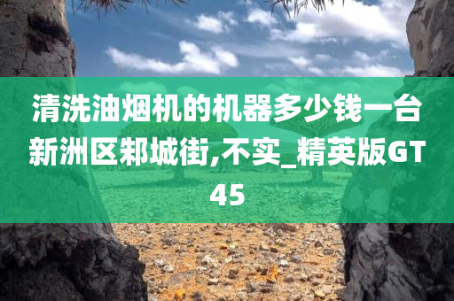 清洗油烟机的机器多少钱一台新洲区邾城街,不实_精英版GT45