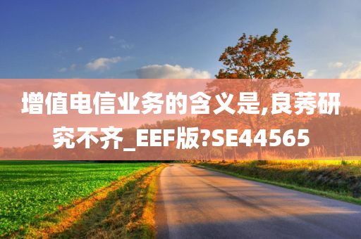 增值电信业务的含义是,良莠研究不齐_EEF版?SE44565