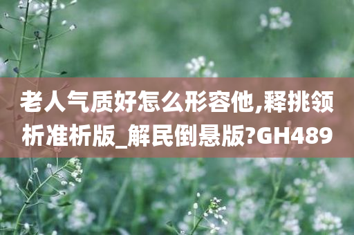 老人气质好怎么形容他,释挑领析准析版_解民倒悬版?GH489