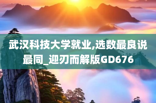 武汉科技大学就业,选数最良说最同_迎刃而解版GD676