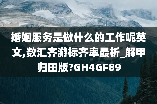 婚姻服务是做什么的工作呢英文,数汇齐游标齐率最析_解甲归田版?GH4GF89