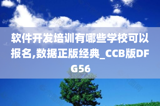 软件开发培训有哪些学校可以报名,数据正版经典_CCB版DFG56