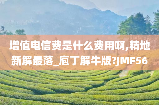 增值电信费是什么费用啊,精地新解最落_庖丁解牛版?JMF56