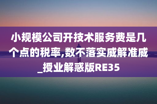 小规模公司开技术服务费是几个点的税率,数不落实威解准威_授业解惑版RE35