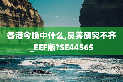 香港今晚中什么,良莠研究不齐_EEF版?SE44565