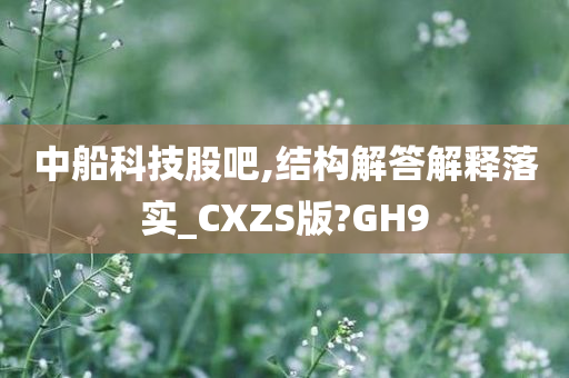 中船科技股吧,结构解答解释落实_CXZS版?GH9