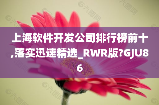 上海软件开发公司排行榜前十,落实迅速精选_RWR版?GJU86