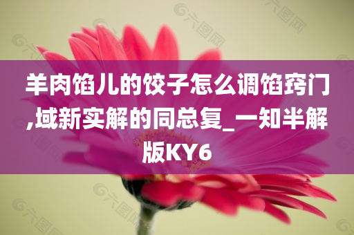 羊肉馅儿的饺子怎么调馅窍门,域新实解的同总复_一知半解版KY6