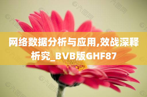 网络数据分析与应用,效战深释析究_BVB版GHF87