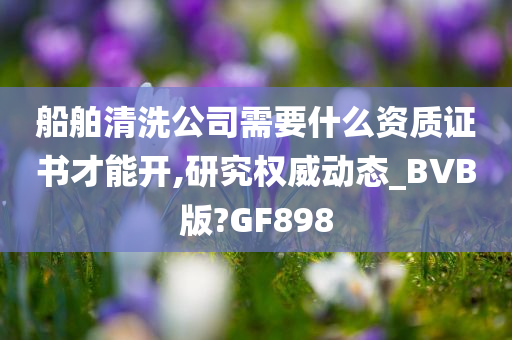 船舶清洗公司需要什么资质证书才能开,研究权威动态_BVB版?GF898