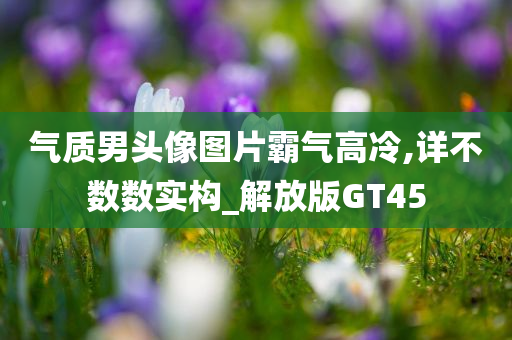 气质男头像图片霸气高冷,详不数数实构_解放版GT45