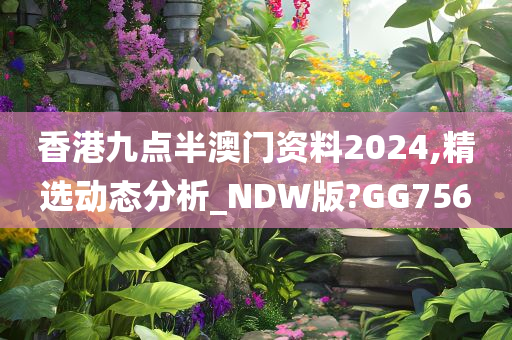 香港九点半澳门资料2024,精选动态分析_NDW版?GG756