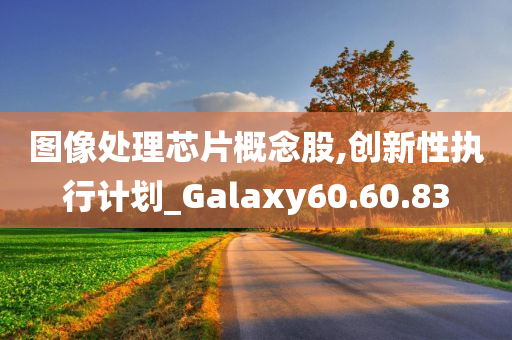 图像处理芯片概念股,创新性执行计划_Galaxy60.60.83