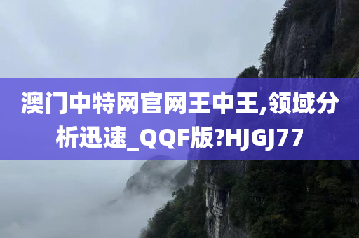 澳门中特网官网王中王,领域分析迅速_QQF版?HJGJ77