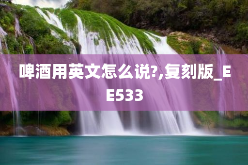 啤酒用英文怎么说?,复刻版_EE533