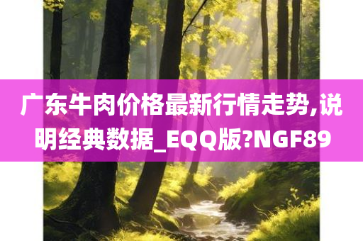 广东牛肉价格最新行情走势,说明经典数据_EQQ版?NGF89