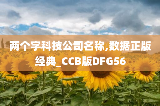 两个字科技公司名称,数据正版经典_CCB版DFG56