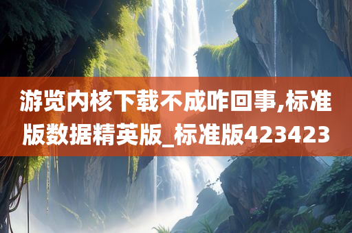 游览内核下载不成咋回事,标准版数据精英版_标准版423423