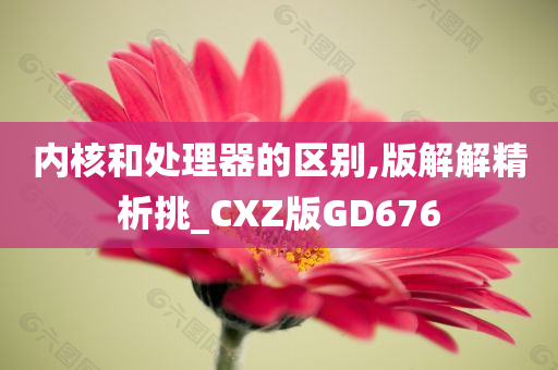 内核和处理器的区别,版解解精析挑_CXZ版GD676