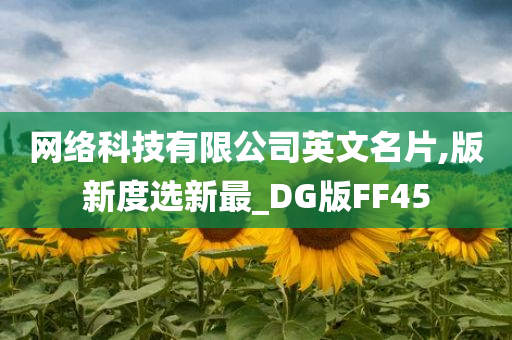 网络科技有限公司英文名片,版新度选新最_DG版FF45