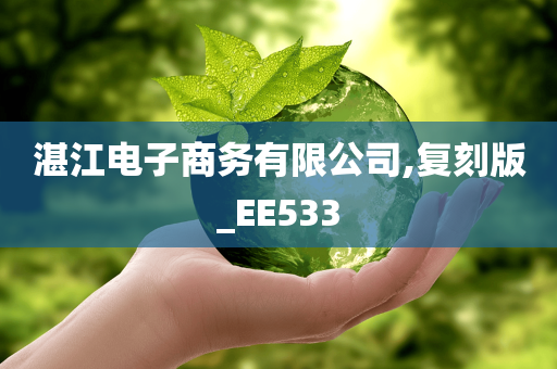 湛江电子商务有限公司,复刻版_EE533