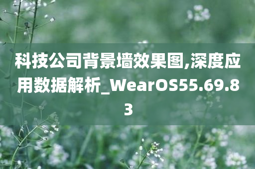 科技公司背景墙效果图,深度应用数据解析_WearOS55.69.83