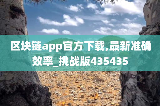 区块链app官方下载,最新准确效率_挑战版435435