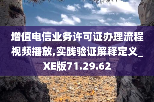 增值电信业务许可证办理流程视频播放,实践验证解释定义_XE版71.29.62