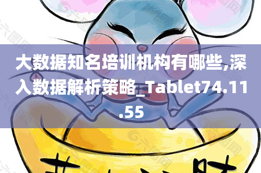 大数据知名培训机构有哪些,深入数据解析策略_Tablet74.11.55