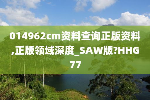 014962cm资料查询正版资料,正版领域深度_SAW版?HHG77