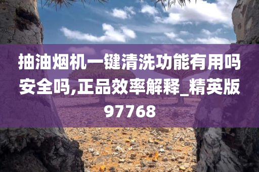 抽油烟机一键清洗功能有用吗安全吗,正品效率解释_精英版97768