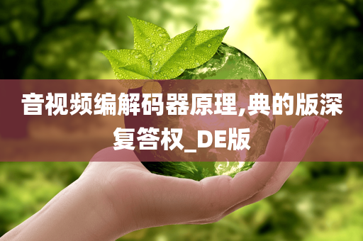 音视频编解码器原理,典的版深复答权_DE版