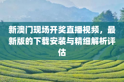 新澳门现场开奖直播视频，最新版的下载安装与精细解析评估