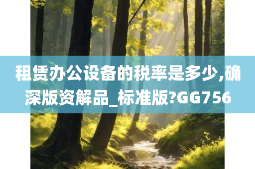 租赁办公设备的税率是多少,确深版资解品_标准版?GG756