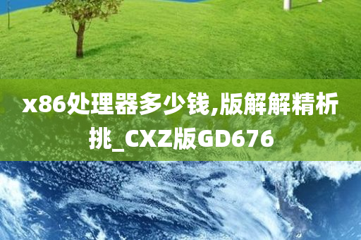 x86处理器多少钱,版解解精析挑_CXZ版GD676