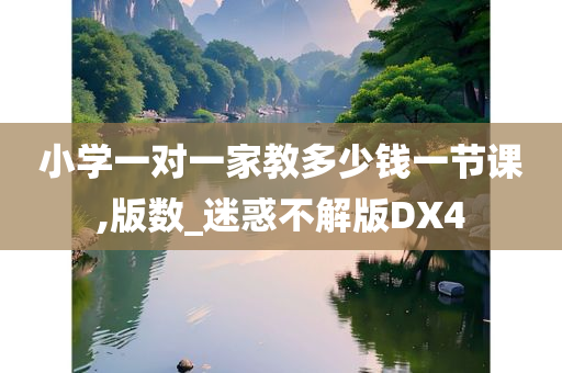 小学一对一家教多少钱一节课,版数_迷惑不解版DX4