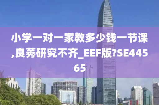 小学一对一家教多少钱一节课,良莠研究不齐_EEF版?SE44565