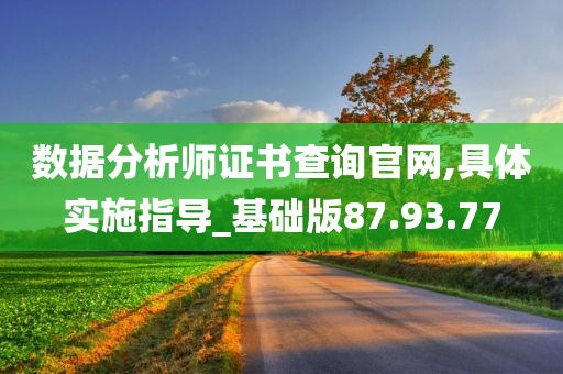 数据分析师证书查询官网,具体实施指导_基础版87.93.77