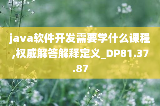 java软件开发需要学什么课程,权威解答解释定义_DP81.37.87