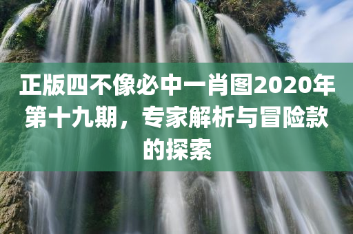 正版四不像必中一肖图2020年第十九期，专家解析与冒险款的探索