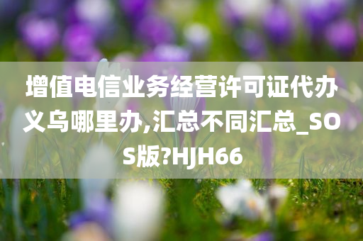 增值电信业务经营许可证代办义乌哪里办,汇总不同汇总_SOS版?HJH66